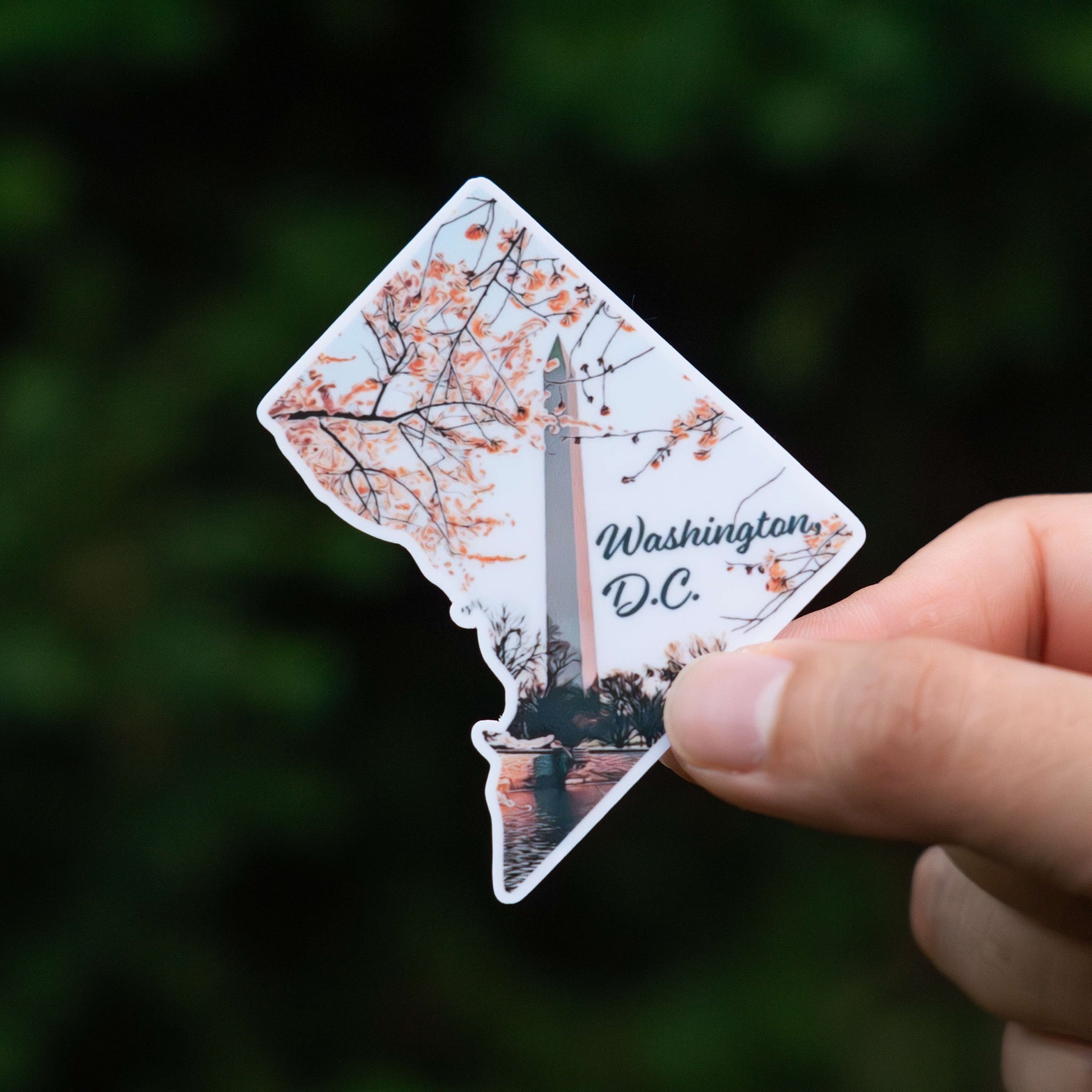 Washington, D.C. Sticker