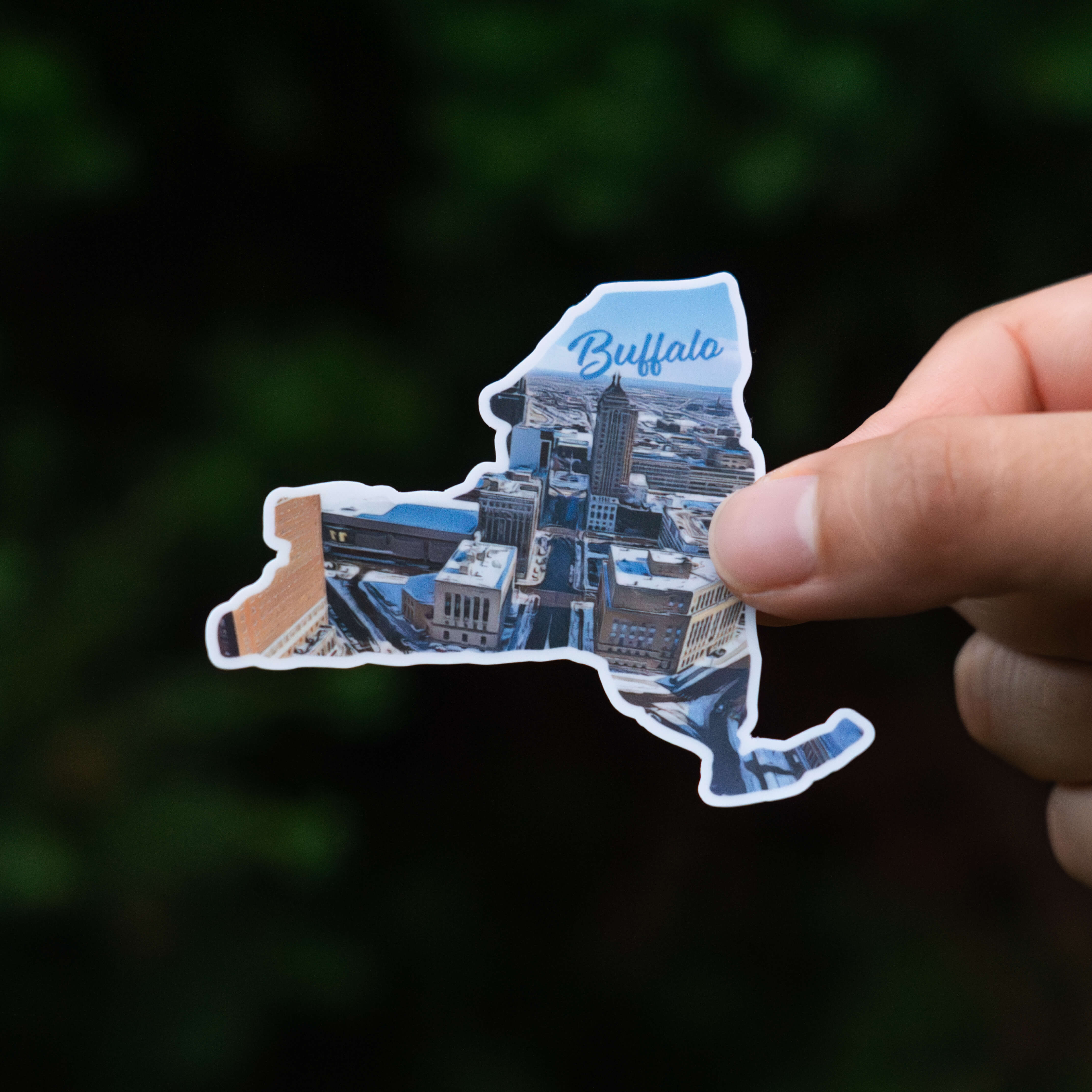 Buffalo, NY Sticker