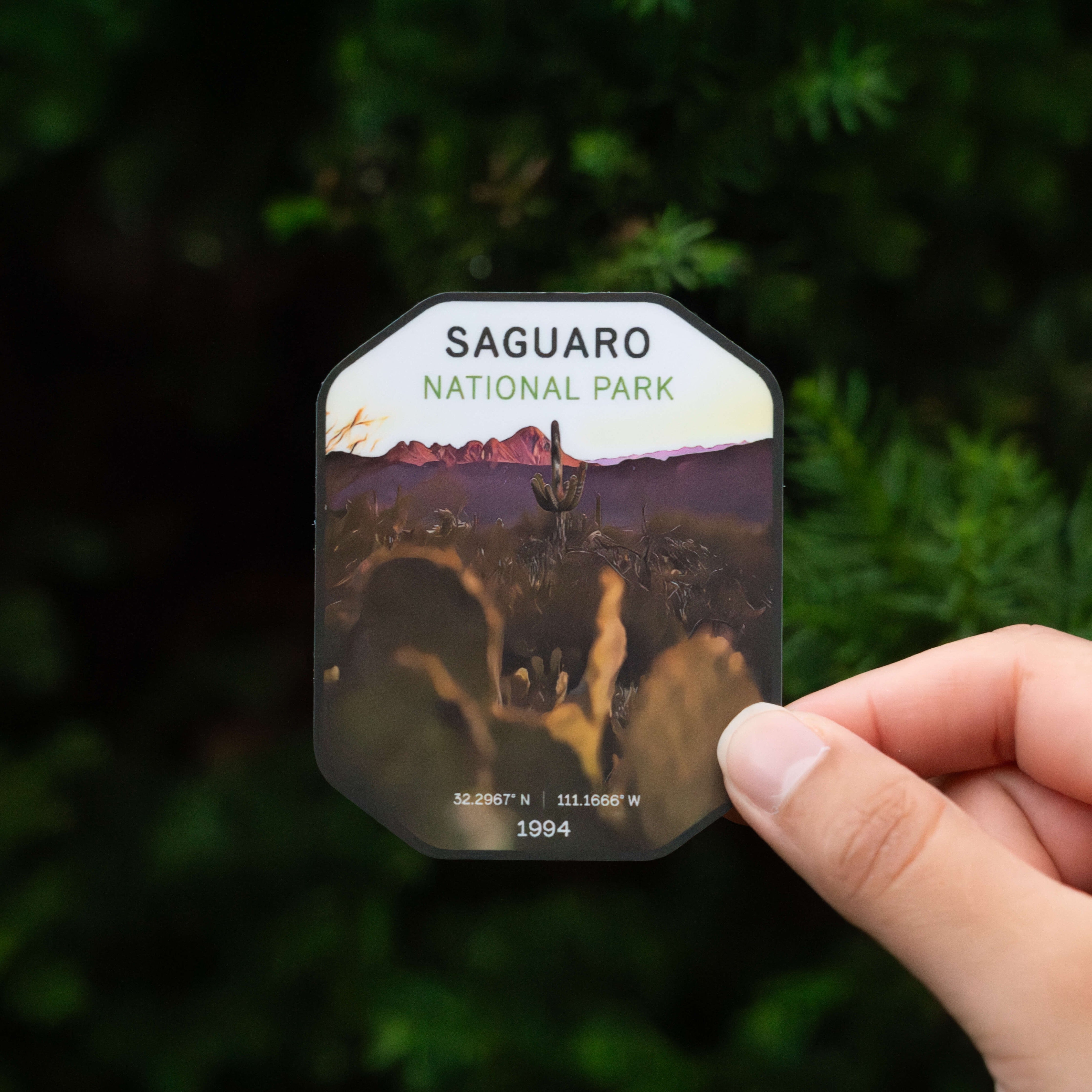Saguaro National Park Sticker
