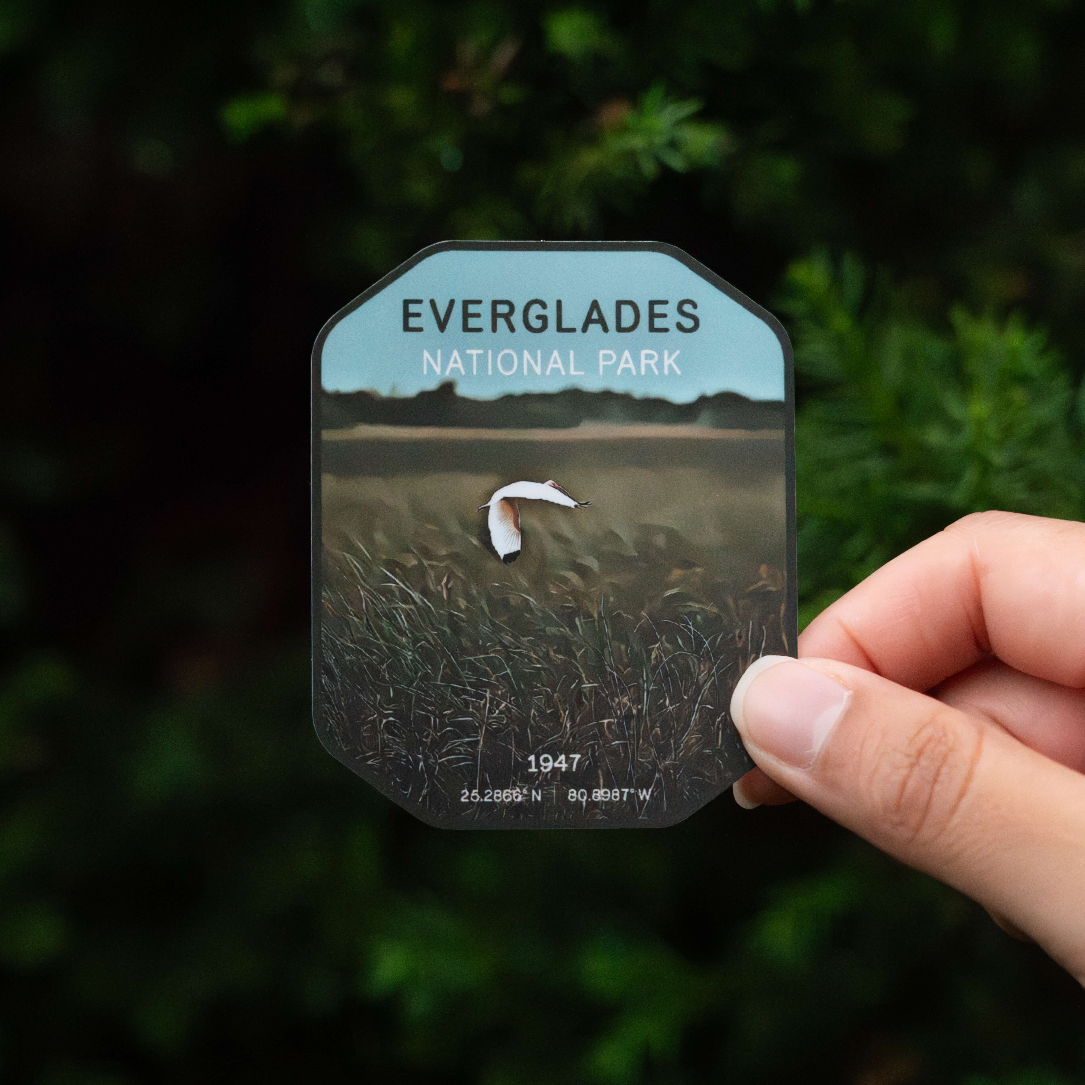 Everglades National Park Sticker