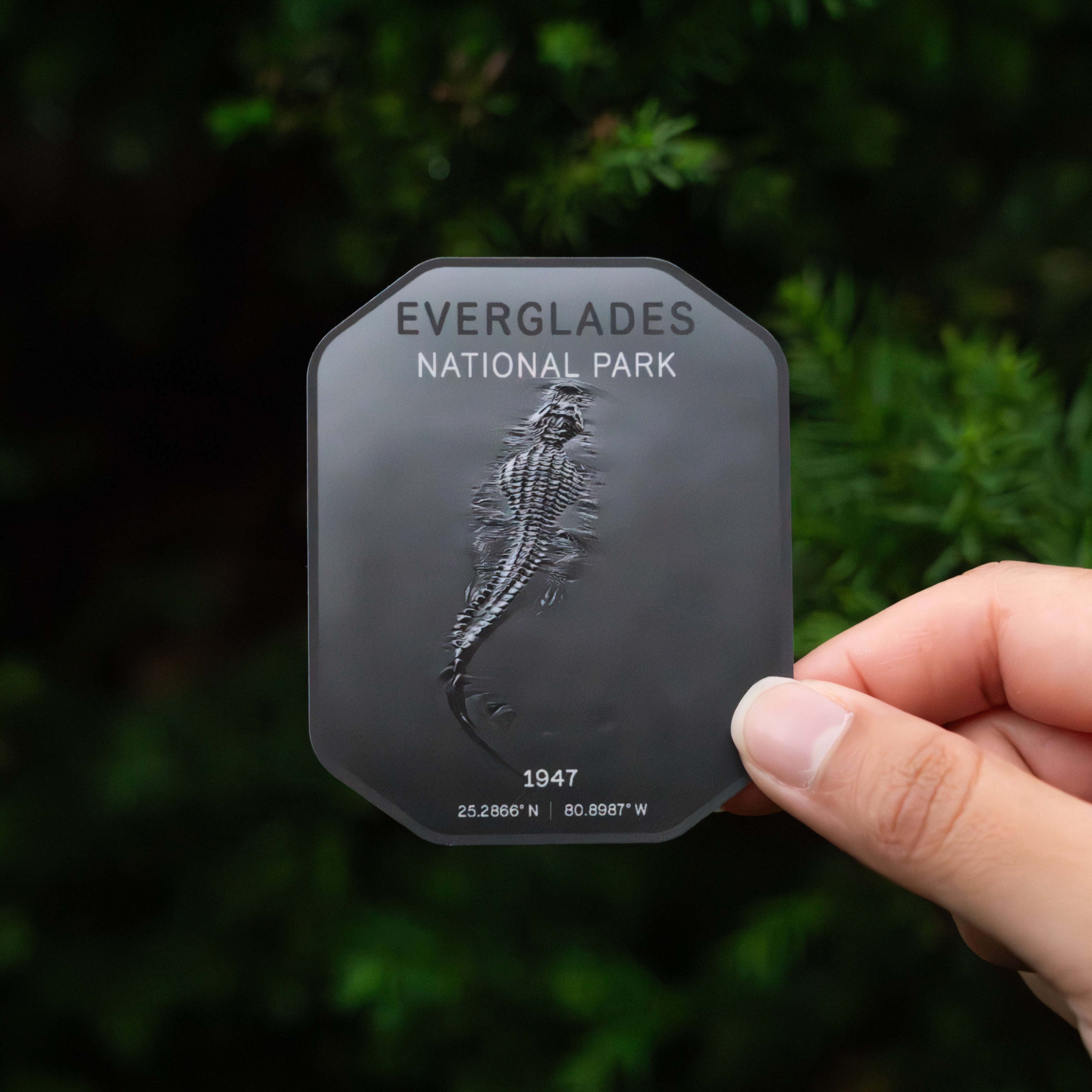 Everglades National Park Sticker