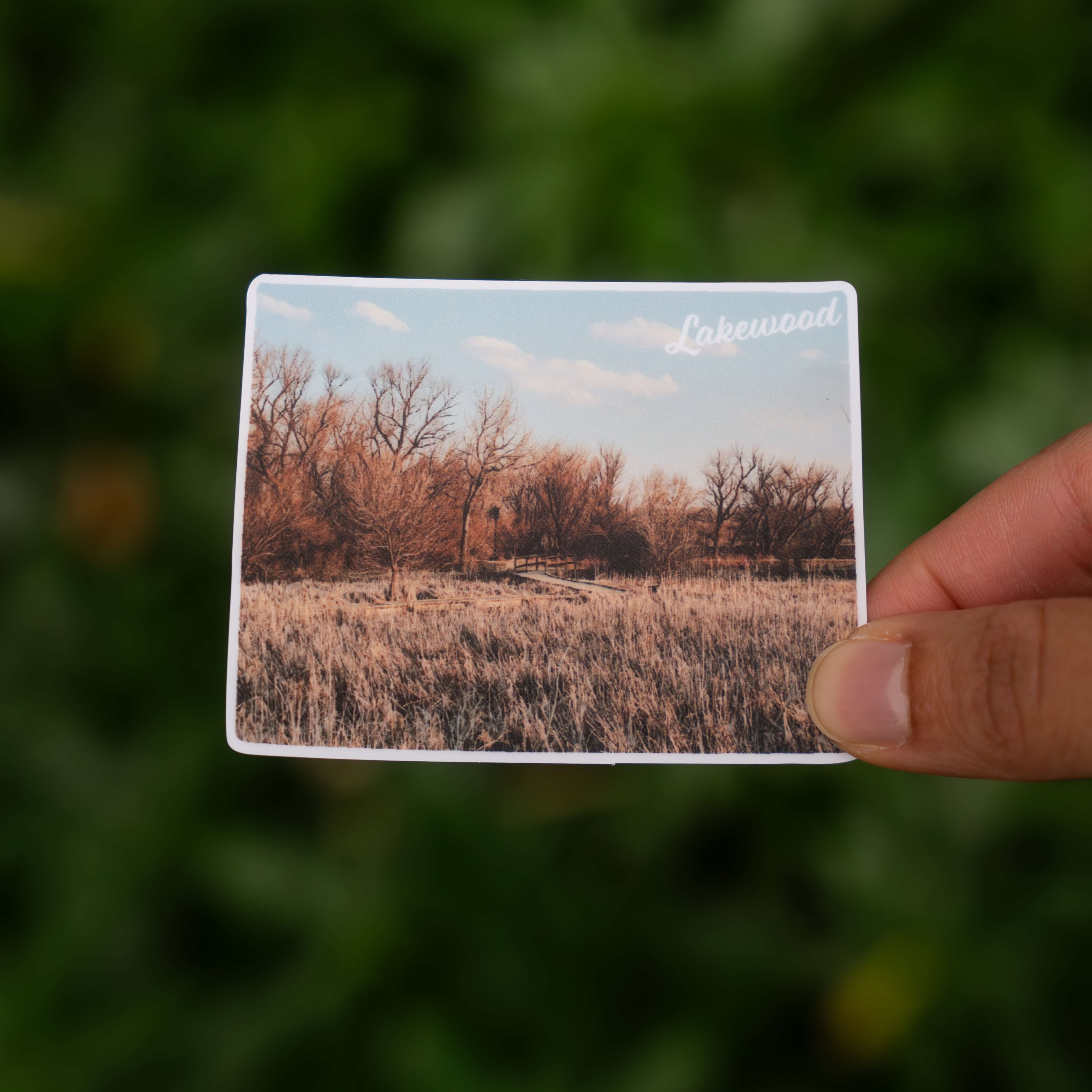 Lakewood, CO Sticker