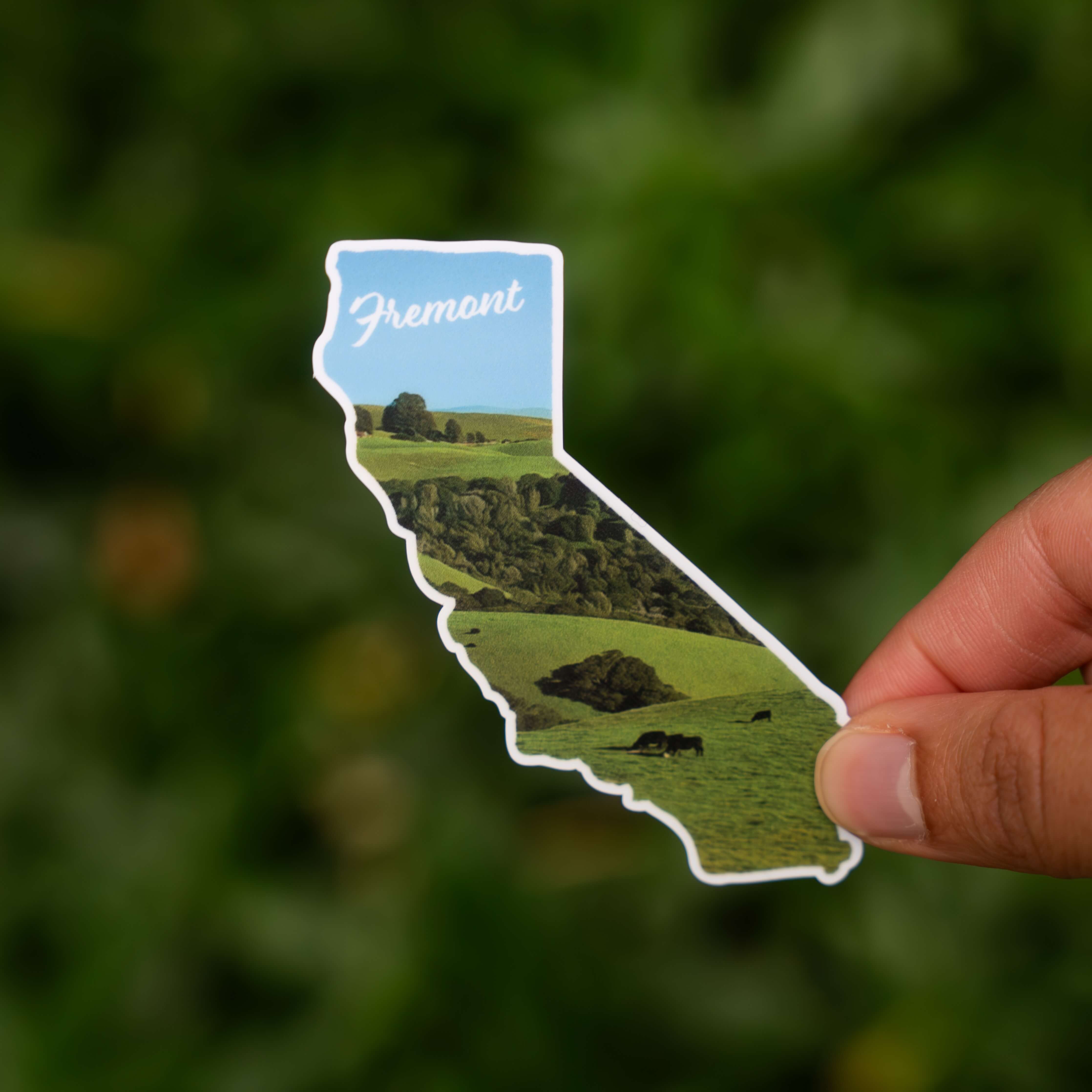 Fremont, CA Sticker