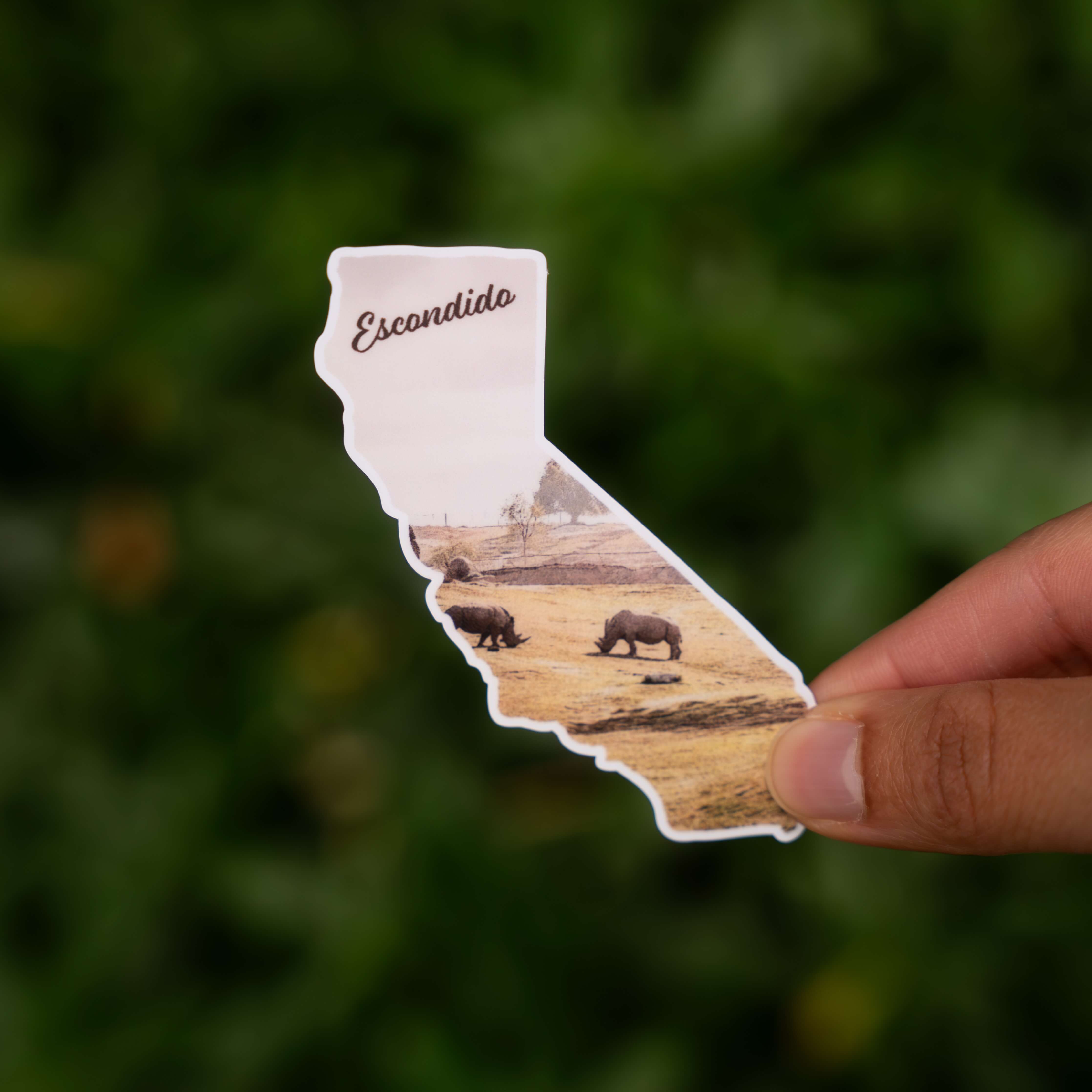 Escondido, CA Sticker