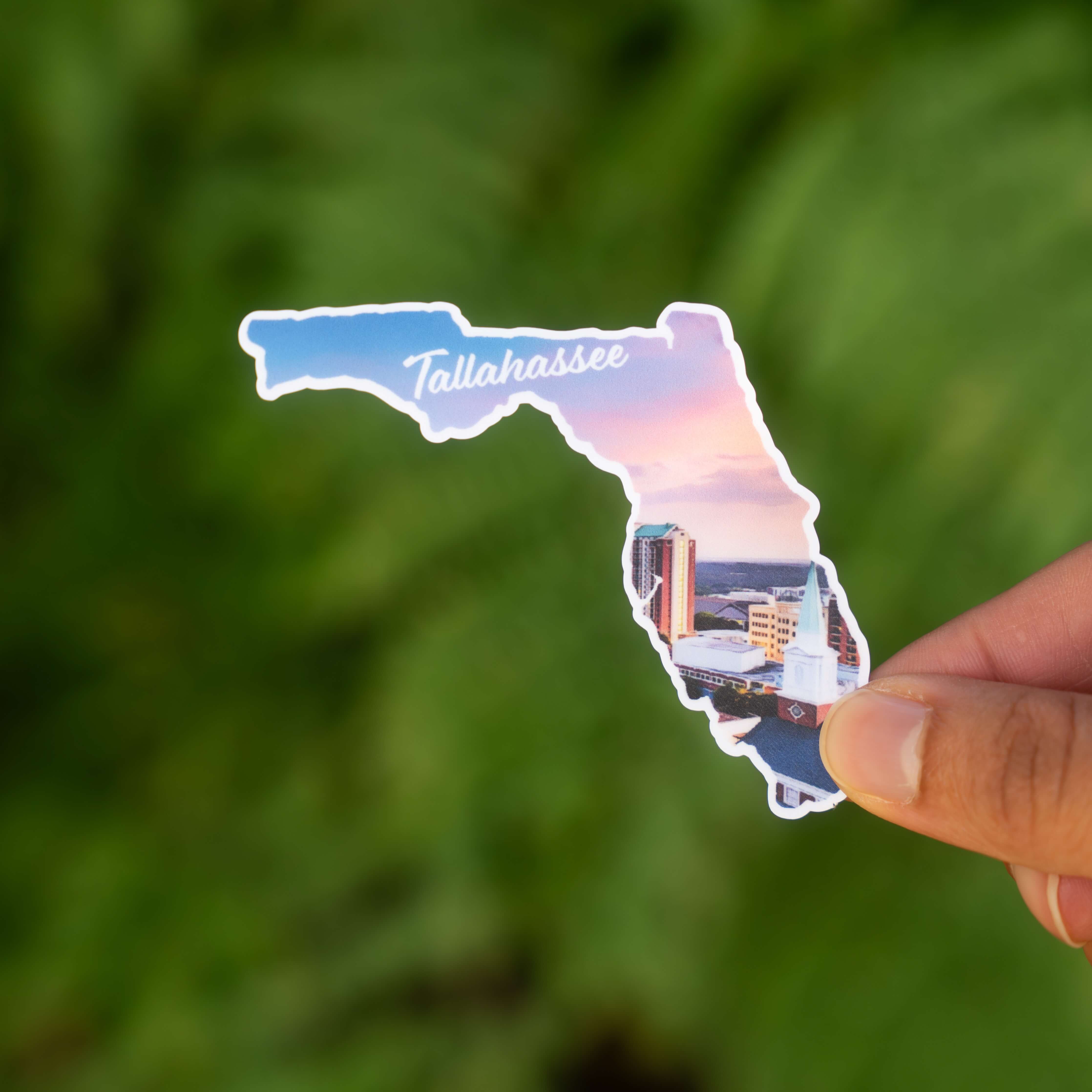 Tallahassee, FL Sticker