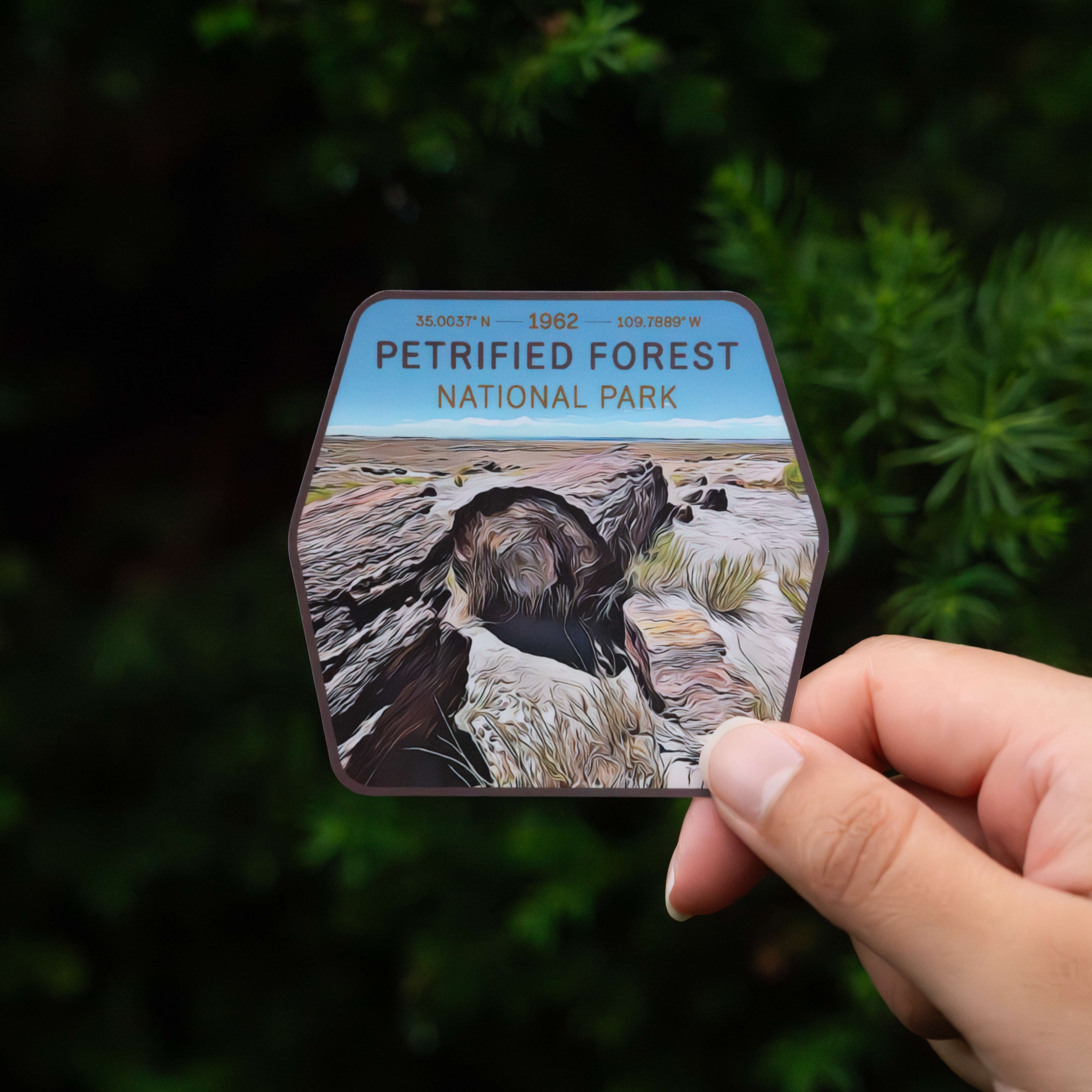 Petrified Forest National Park Sticker