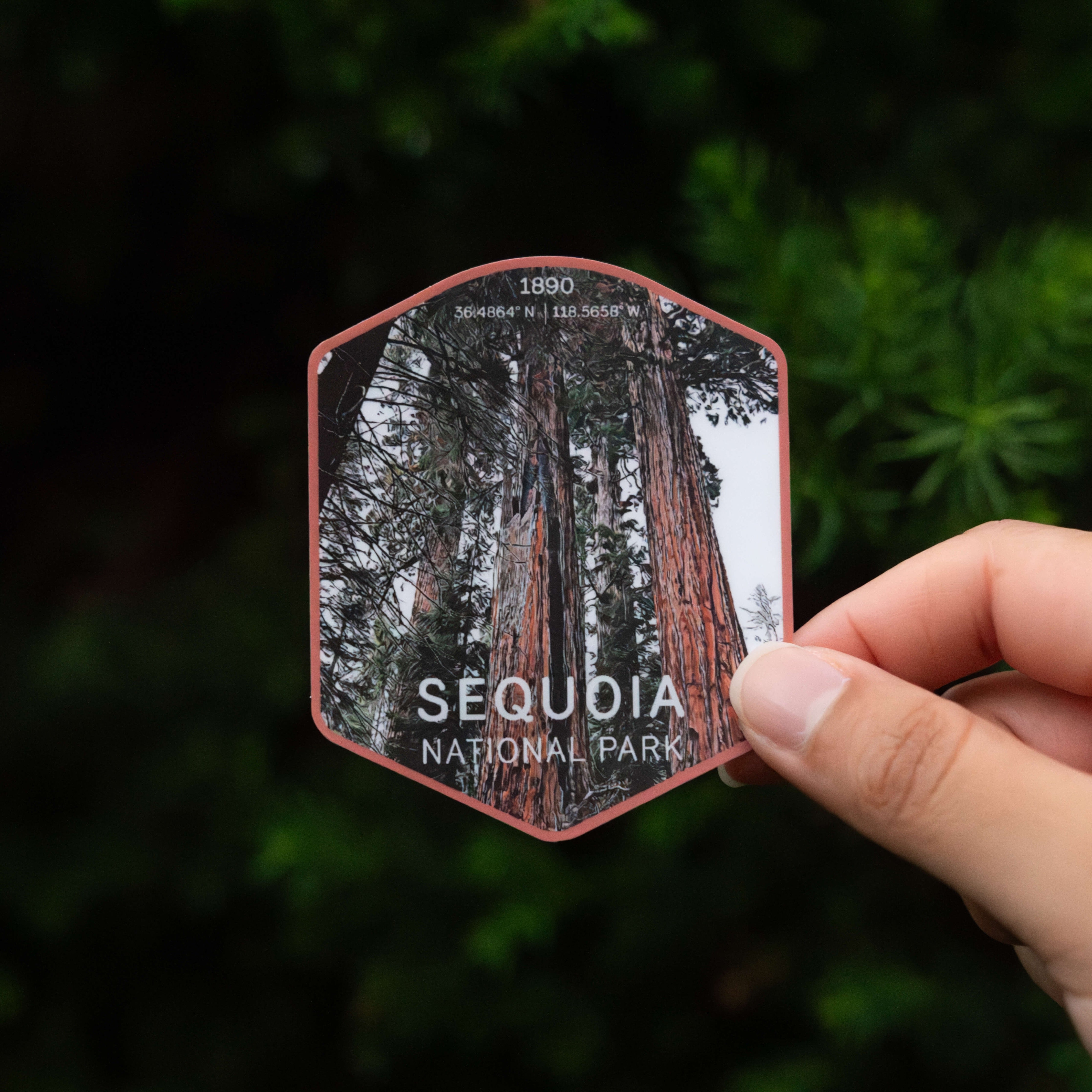 Sequoia National Park Sticker