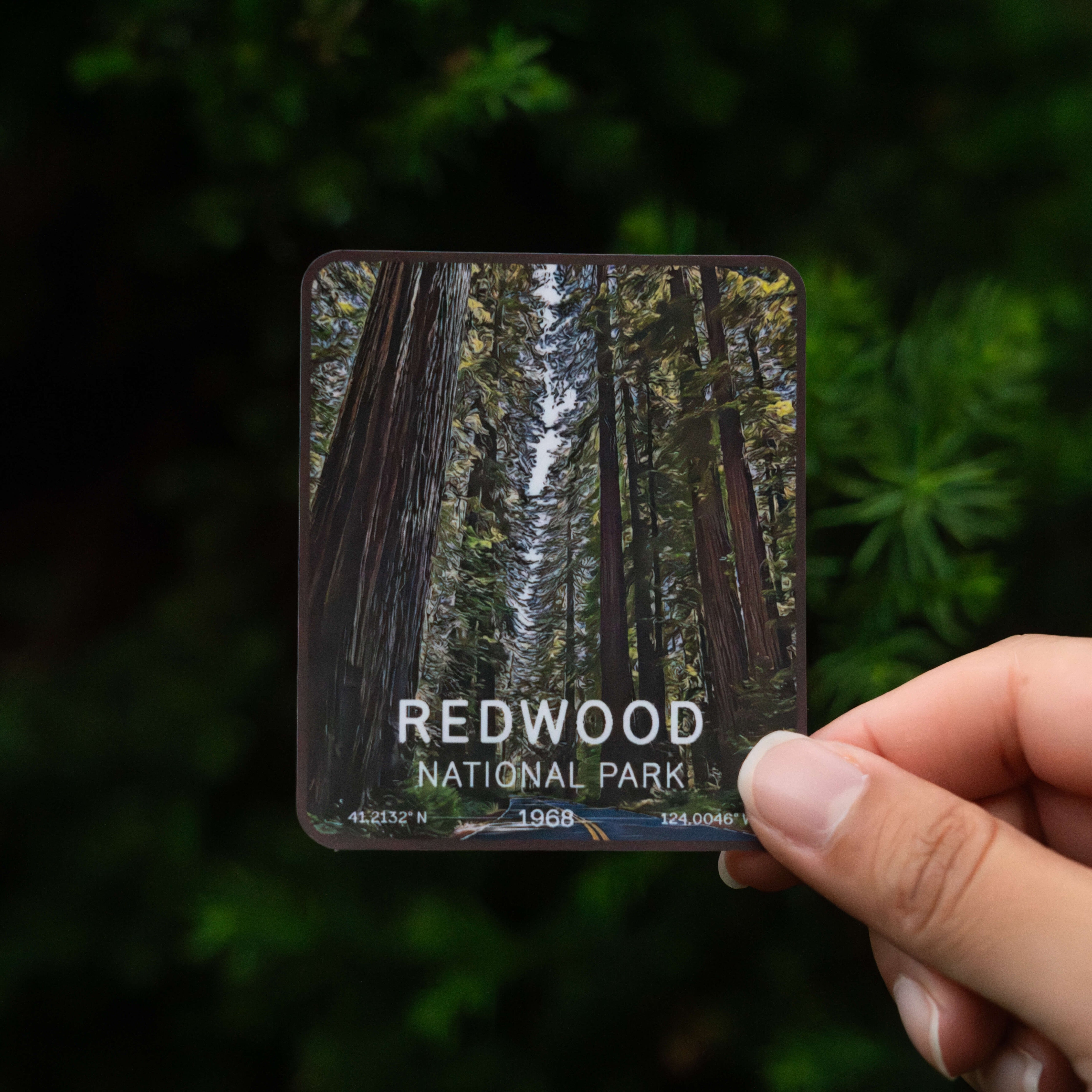 Redwood National Park Sticker