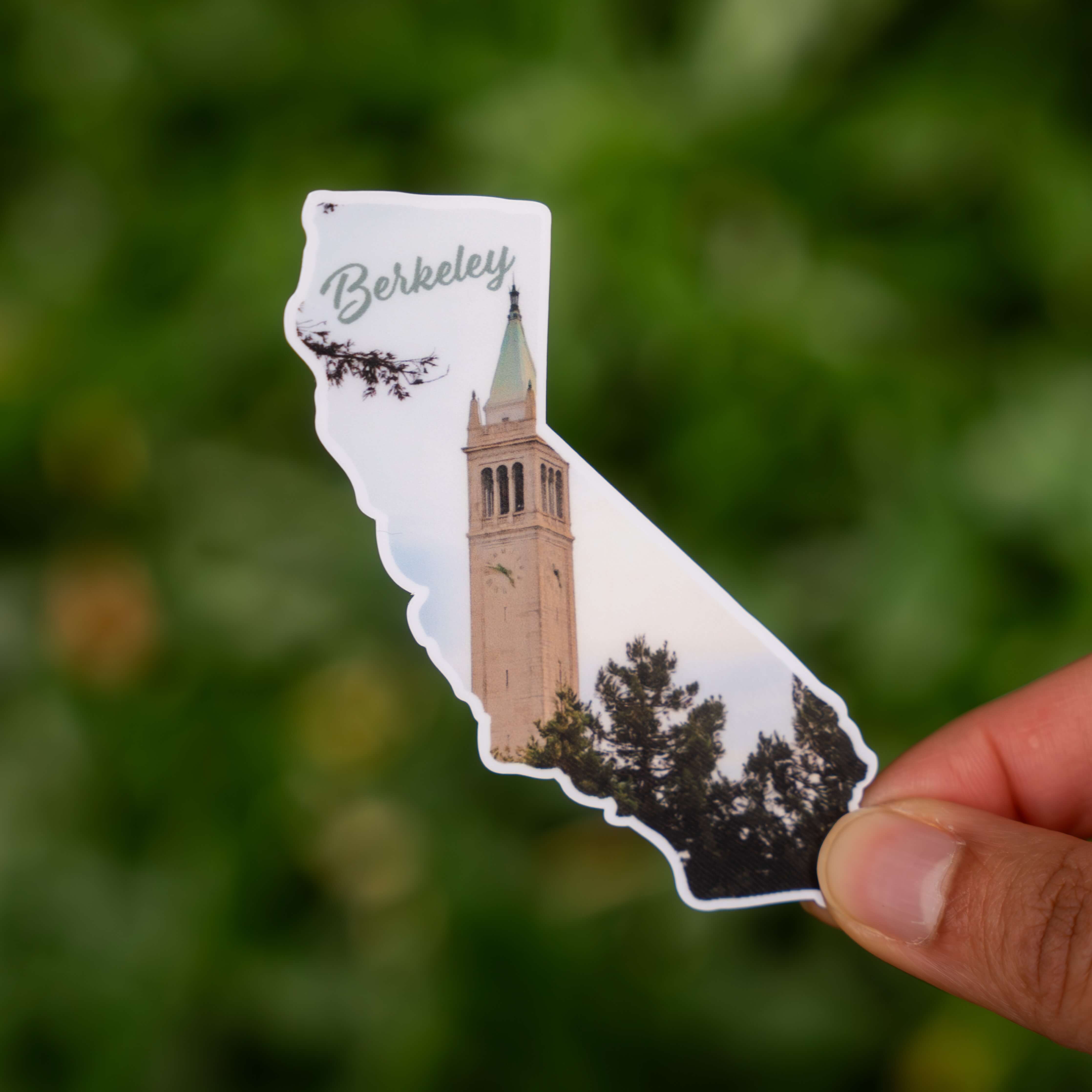 Berkeley, CA Sticker