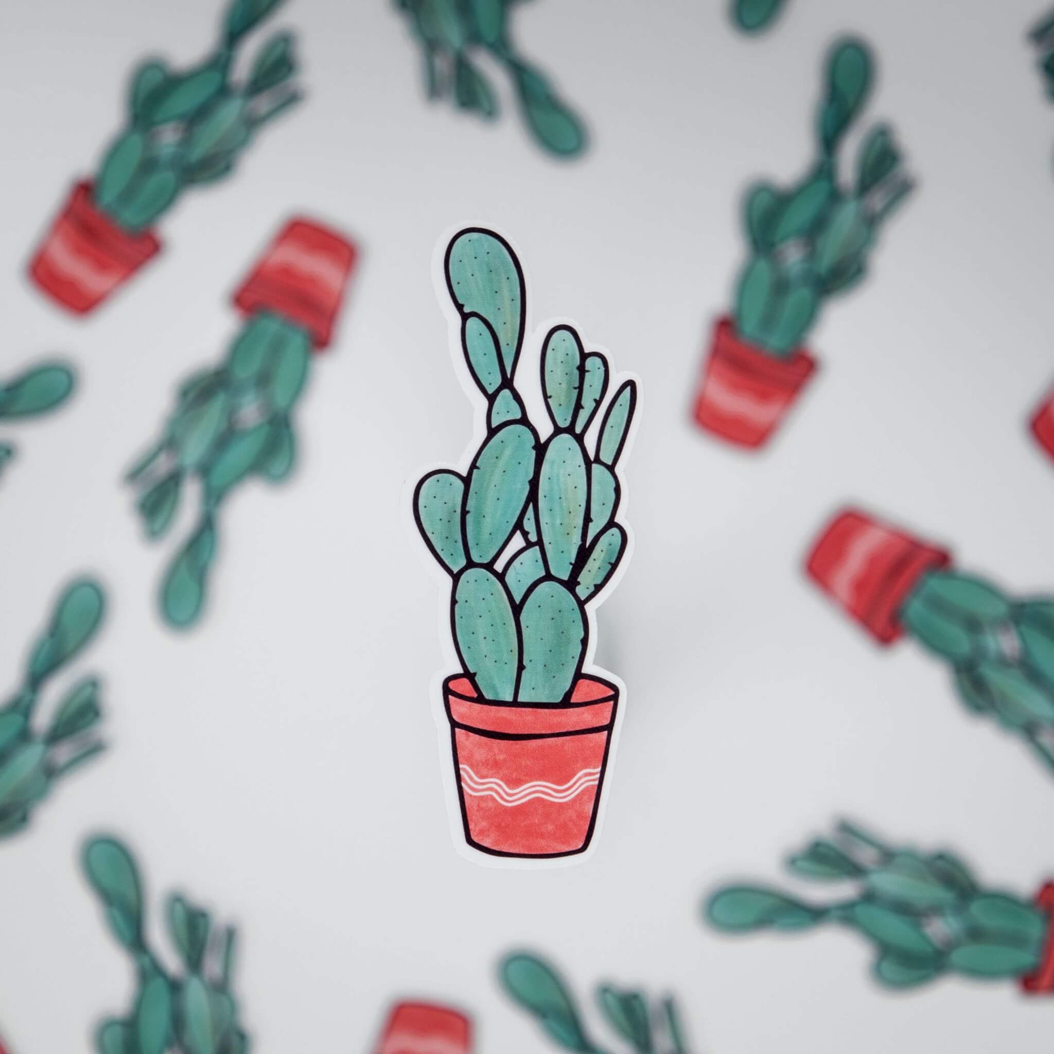 Cactus Family Pack